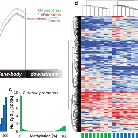 Visualisation Of The Atlantic Salmon Gill Methylome A Average Cpg Download Scientific