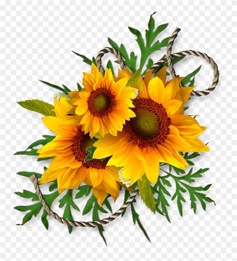 Cheyokota Digital Scraps - Bouquet Of Sunflowers Clip Art - Png ...