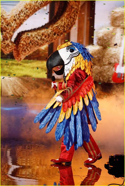 Photo: macaw masked singer clues 04 | Photo 4912207 | Just Jared