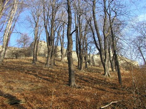 hukvaldy cz Zobrazit téma Letošní zima na Hukvaldech 2007