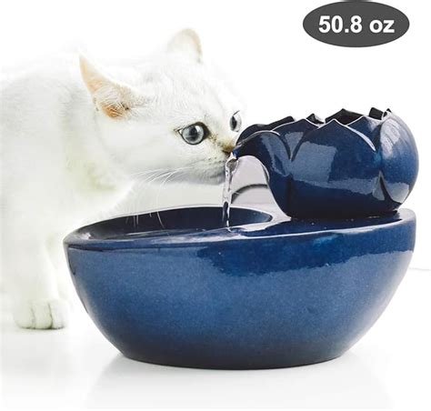 Amazon Dingqu Lotus Cat Water Fountain Automatic Ceramic