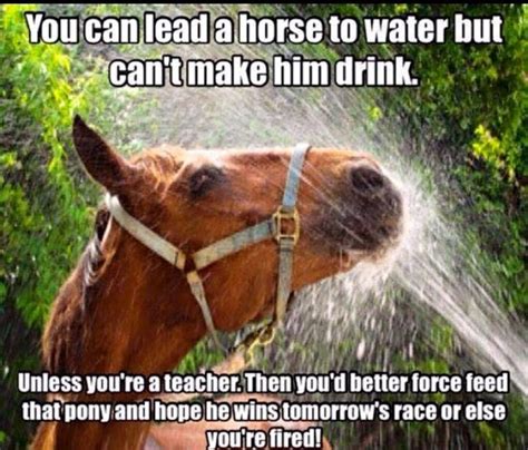 You Can Lead A Horse To Water But You Cant Make Him Drink Unless You