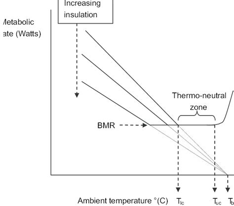 Some Estimates Of Lower Critical Temperature Tlc In Naked Humans