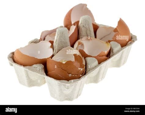 Half Dozen Six Broken Eggs In A Carton Stock Photo 22159581 Alamy