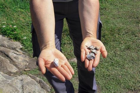 Le gouffre de Plougrescant joyau naturel des Côtes dArmor Saint