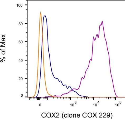 Cox Monoclonal Antibody Cox Pe Ebioscience Invitrogen