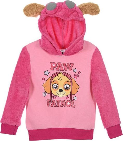 Paw Patrol Skye Trui Maat 104 Bol