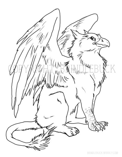 Griffin Coloring Templates Coloring Pages