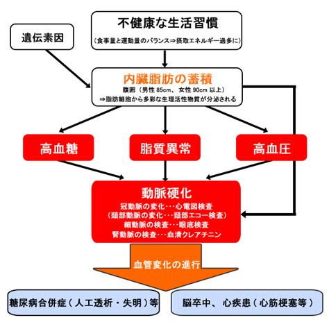 メタボリックシンドロームについて 医療法人社団 新生会 南東北第二病院