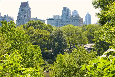 The Hallett Nature Sanctuary of Central Park NYC | Map, Entrance, Hours