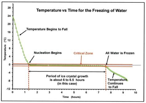 Ice Crystal Formation | The World of Food Science