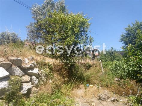 Terreno Venda Em Viseu Rio De Loba Barbeita Casa Sapo