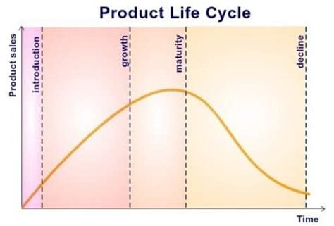 The Product Life Cycle Theory Guide To The Stages And Examples