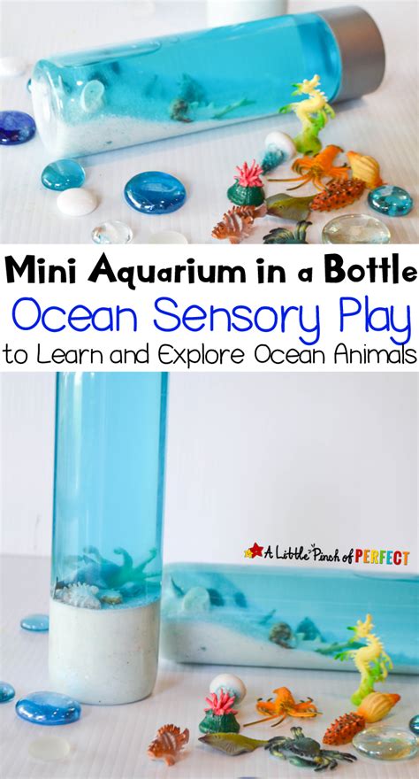 Easy Ocean Sensory Bottle A Mini Aquarium A Great Activity For An