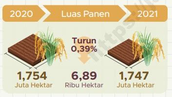 Total Luas Panen Padi 2021 Di Jatim Sebesar 1 747 Juta Hektar