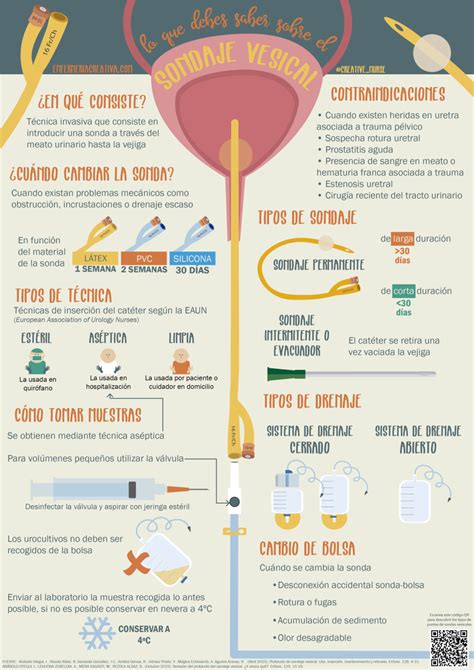 Sondaje vesical | Oposiciones auxiliar de enfermeria, Clases de ...