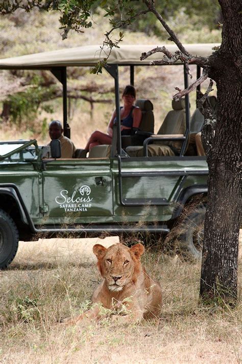 Selous Safari Best Tanzania Safari Experiences Art Of Safari