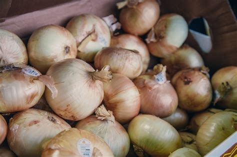 Onions Mayan Sweets Shasta Produce