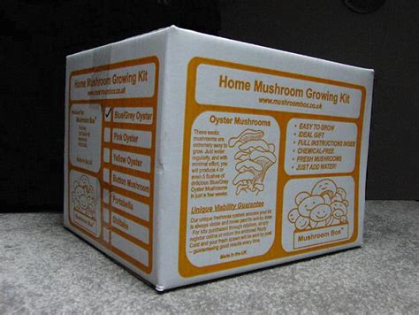 Mushroom Kits Mushroom Box Mushroom Kits Mushroom Spawn Fungi