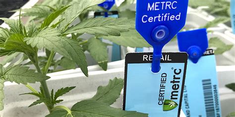 Guide To Metrc Reporting For Dispensaries In California Indicaonline