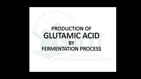 Production Of Glutamic Acid By Fermentation Youtube