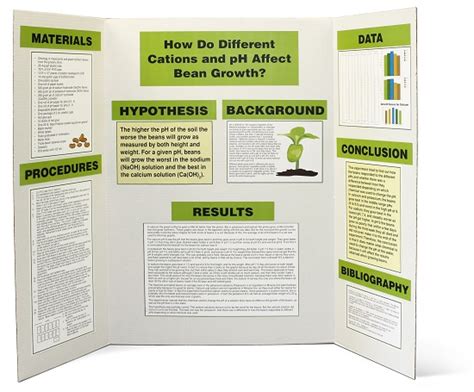 Display Board - Miss Taylor's Science Class