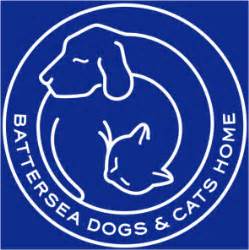 Battersea Dog's Home - Charity