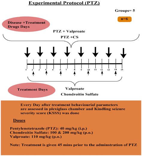 Experimental Protocol For Pentylenetetrazole Induced Kindled Seizure