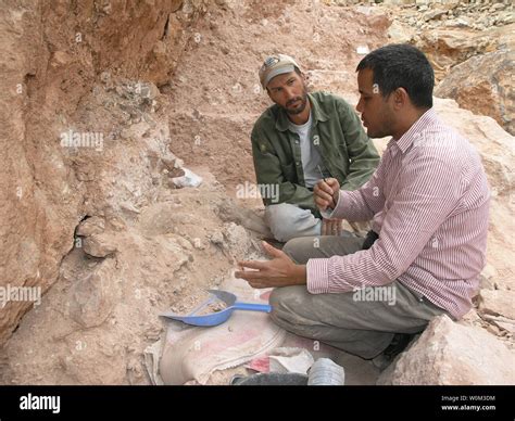 Jebel Irhoud Skull Hi Res Stock Photography And Images Alamy