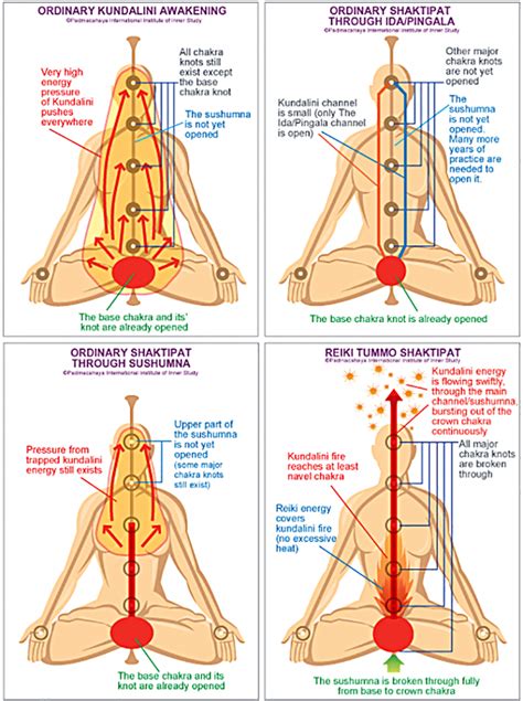 14 Kundalini Awakening Benefits And Signs Reiki Healing Chakra Healing