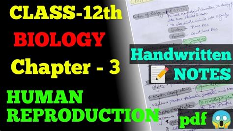 Biology Chapter 3 Human Reproduction Class 12 Handwritten