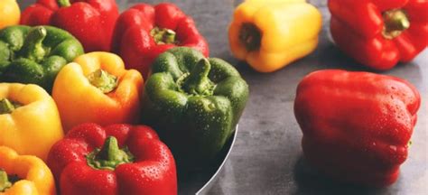 Bell Pepper Nutrition Health Benefits And How To Select Dr Axe