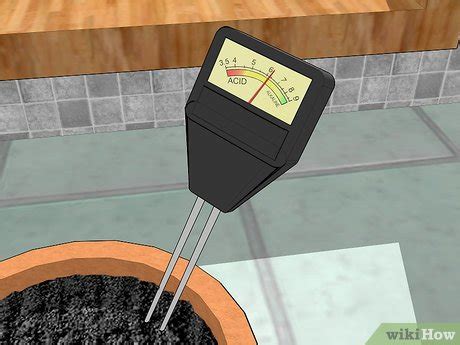 3 Ways to Grow Bell Peppers Indoors - wikiHow