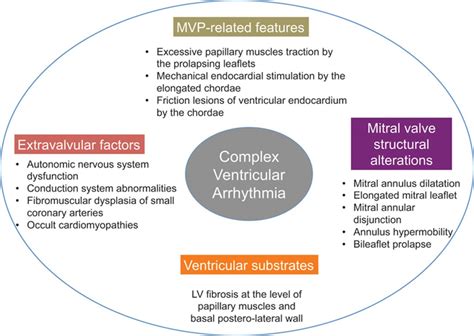 Mitral Valve Prolapse