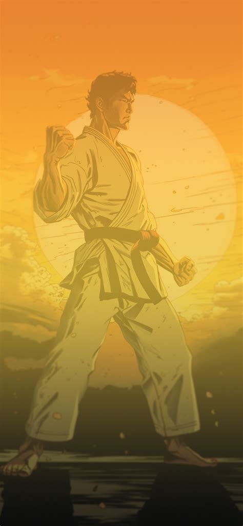 Karate Sunset Art Wallpaper Karate Aesthetic Wallpaper IPhone