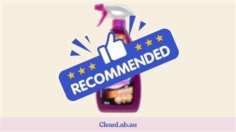 The Best Mould Remover In Australia 2023 Guide Cleanlab