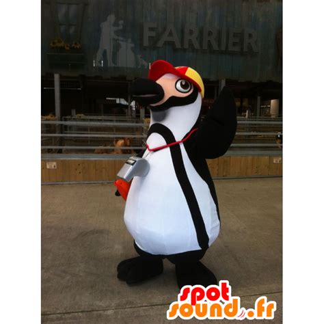 Purchase Black And White Penguin Mascot With A Cap In Penguin Mascots