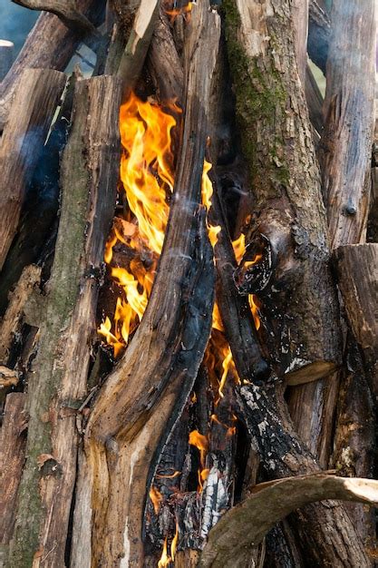 Premium Photo Beautiful Fire Flames On A Campfire Closeup