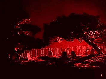 Casebook Gifs Sex Gifs Porn XXX GIFs Page PICTOA