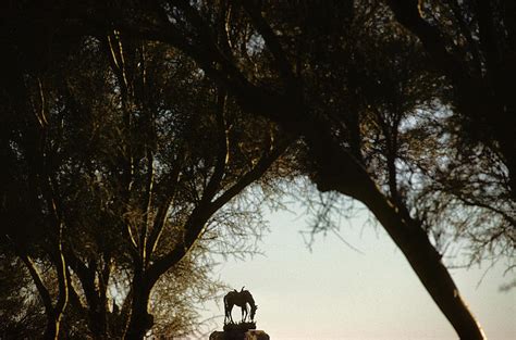 Tom Mix Monument To His Horse Tony Near Florence Arizona 1984