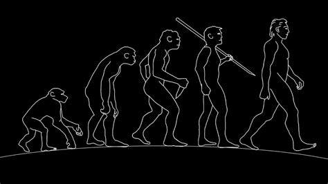 The Seven Stages Of Human Evolution Kain Ramsay