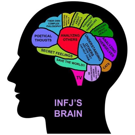 Infj S Brain Infj Psikoloji Mbti