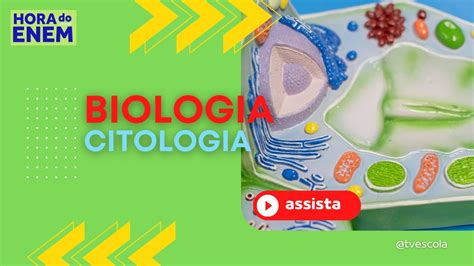 Hora Do Enem Biologia Youtube