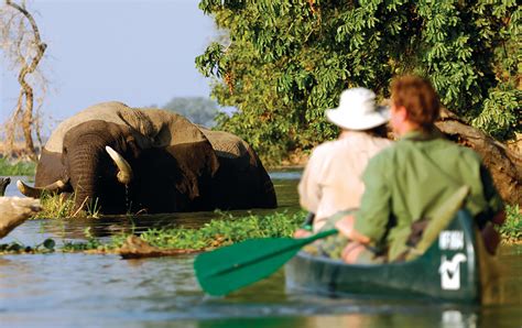Zimbabwe Safaris And Tours With African Wildlife Safaris