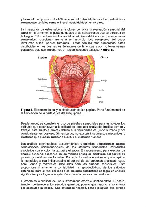 Analisis Sensorial Arequipoma Pdf