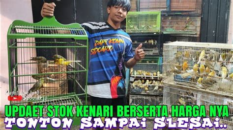 Review Harga Burung Kenari Bahan Gacoran Series LOPER AF AFS