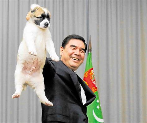 Turkmenistans Top Dog Breed Rivals Horse For National Affection