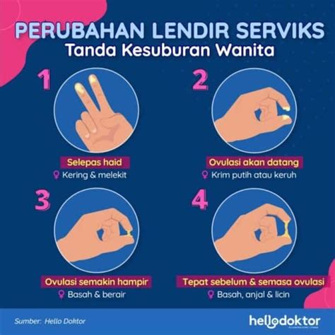 Kira Waktu Subur Wanita Ini Cara Paling Mudah Untuk Tahu Bila Ovulasi