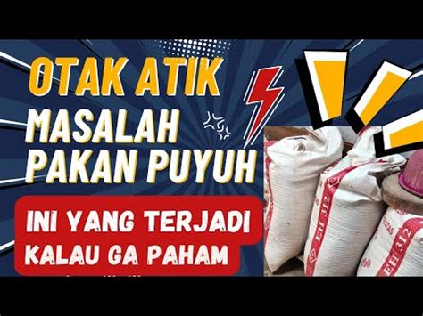 Jangan Otak Atik Masalah Pakan Puyuh Kalau Tidak Paham Karena Ini