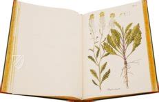 Paul Kitaibel Descriptiones Et Icones Plantarum Rariorum Hungariae